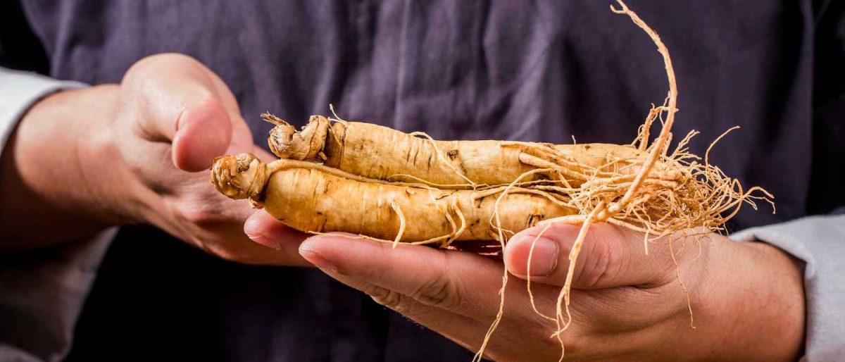Cât extract de ginseng trebuie să conțină un supliment pentru energie pentru a fi eficient?